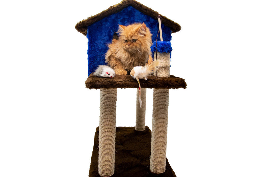 Casinha para Gatos com Arranhador – Azul e Marrom